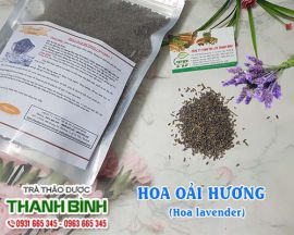 Hoa oải hương (lavender) [Tác dụng, Cách dùng] Mua ở đâu nguyên chất giá rẻ ?