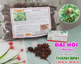 Địa chỉ bán đại hồi (hoa hồi) điều trị ăn không tiêu tại Hà Nội