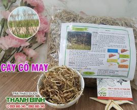 Mua bán cây cỏ may ở quận Bình Tân giúp điều trị khí hư hiệu quả nhất