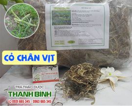 Mua bán cỏ chân vịt ở huyện Bình Chánh giúp giảm nhức mỏi toàn thân