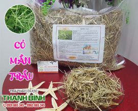 Mua bán cỏ mần trầu ở quận Bình Tân có tác dụng điều trị táo bón