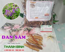 Mua bán đan sâm tại Hà Nội uy tín chất lượng tốt nhất