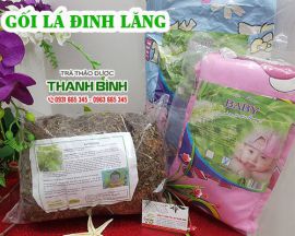 Mua bán gối lá đinh lăng tại Hà Nội uy tín chất lượng tốt nhất