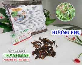Mua bán hương phụ ở huyện Hóc Môn giúp điều trị trướng bụng an toàn nhất