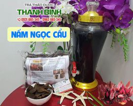 Mua bán nấm ngọc cẩu ở huyện Bình Chánh giúp điều trị đau lưng mỏi gối