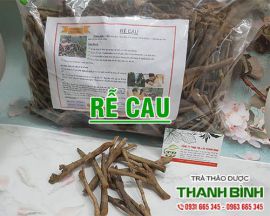 Mua bán rễ cau ở huyện Bình Chánh hỗ trợ điều trị yếu sinh lý uy tín nhất